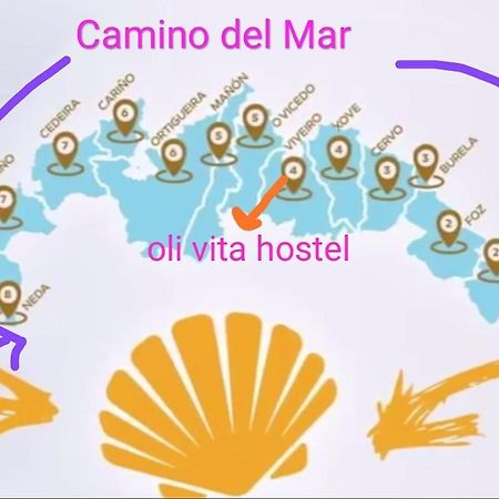 Oli Vita Hostel Albergue Viveiro Esterno foto